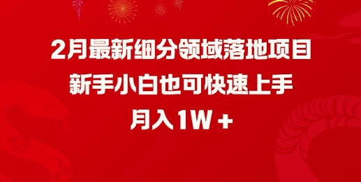 2月最新细分领域落地项目，新手小白也可快速上手，月入1W-网络创业副业兼职学习网