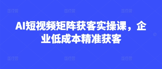 AI短视频矩阵获客实操课，企业低成本精准获客-网络创业副业兼职学习网
