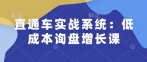 直通车实战系统:低成本询盘增长课,让个人通过技能实现升职加薪,让企业低成本获客,订单源源不断-网络创业副业兼职学习网