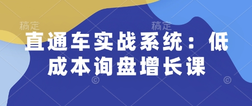 直通车实战系统：低成本询盘增长课，让个人通过技能实现升职加薪，让企业低成本获客，订单源源不断-网络创业副业兼职学习网