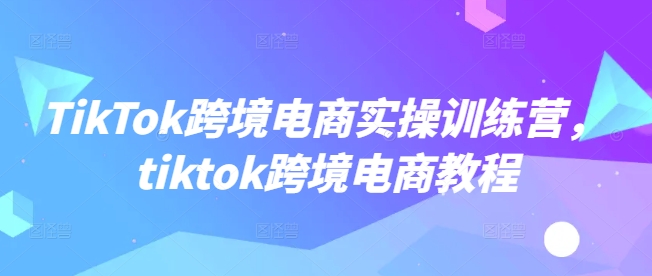 TikTok跨境电商实操训练营，tiktok跨境电商教程-网络创业副业兼职学习网