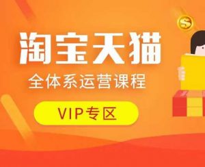 淘宝天猫全体系运营课程：店铺全系运营、动销玩法、付费推广、流量提升、擦边球玩法等等-网络创业副业兼职学习网