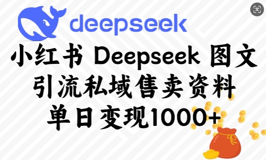 小红书Deepseek图文引流私域售卖资料，单日变现多张-网络创业副业兼职学习网