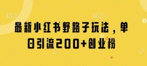 最新小红书野路子玩法，单日引流200+创业粉-网络创业副业兼职学习网