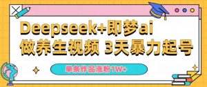 小白用DeepSeek+即梦做ai养生视频,一条作品涨粉5万+,单日收益多张-网络创业副业兼职学习网