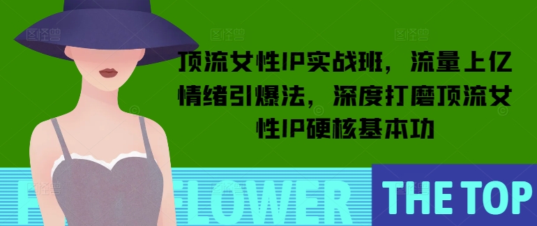 顶流女性IP实战班，流量上亿情绪引爆法，深度打磨顶流女性IP硬核基本功-网络创业副业兼职学习网