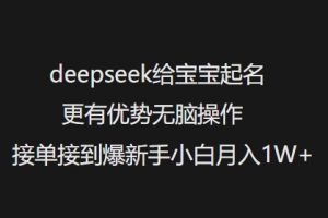 deepseek给宝宝起名更有优势无脑操作接单接到爆新手小白月入1W+-网络创业副业兼职学习网