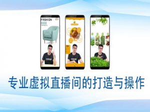 个人虚拟直播间的搭建与操作,专业虚拟直播间的打造与操作-网络创业副业兼职学习网
