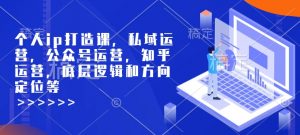 个人ip打造课,私域运营,公众号运营,知乎运营,底层逻辑和方向定位等-网络创业副业兼职学习网