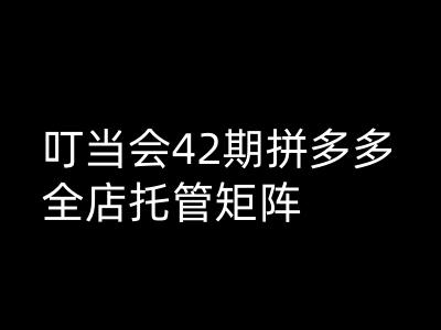 叮当会拼多多打爆班原创高阶技术第42期，拼多多全店托管矩阵-网络创业副业兼职学习网