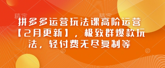 拼多多运营玩法课高阶运营【2月更新】，极致群爆款玩法，轻付费无尽复制等-网络创业副业兼职学习网