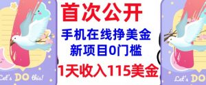 在线挣美金新项目,0门槛,1天收入115美刀,无脑操作,真正被动收入-网络创业副业兼职学习网