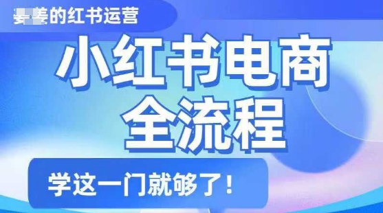 小红书电商全流程，精简易懂，从入门到精通，学这一门就够了-网络创业副业兼职学习网