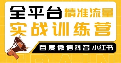 全平台精准流量实战训练营，百度微信抖音小红书SEO引流教程-网络创业副业兼职学习网