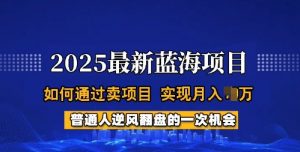 2025蓝海项目,普通人如何通过卖项目,实现月入过W,全过程【揭秘】-网络创业副业兼职学习网