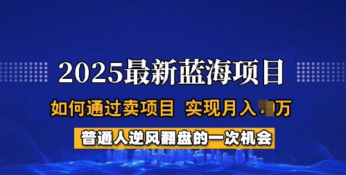 2025蓝海项目，普通人如何通过卖项目，实现月入过W，全过程【揭秘】-网络创业副业兼职学习网