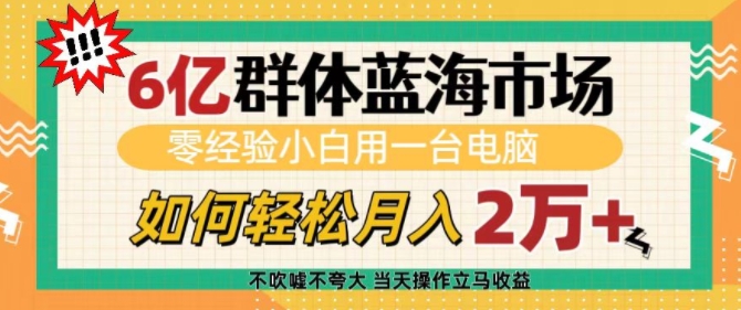 6亿群体蓝海市场，零经验小白用一台电脑，如何轻松月入过w【揭秘】-网络创业副业兼职学习网