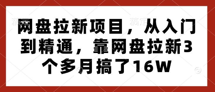 网盘拉新项目，从入门到精通，靠网盘拉新3个多月搞了16W-网络创业副业兼职学习网