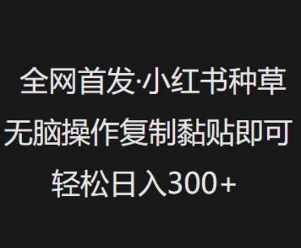全网首发，小红书种草无脑操作，复制黏贴即可，轻松日入3张-网络创业副业兼职学习网