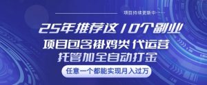 25年推荐这10个副业项目包含褂鸡类、代运营托管类、全自动打金类【揭秘】-网络创业副业兼职学习网