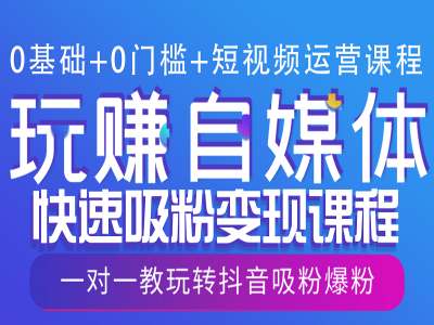 0基础+0门槛+短视频运营课程，玩赚自媒体快速吸粉变现课程，一对一教玩转抖音吸粉爆粉-网络创业副业兼职学习网