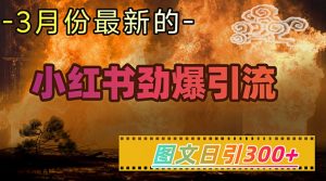 小红书超劲爆引流手段,图文日引300+轻松变现1W-网络创业副业兼职学习网