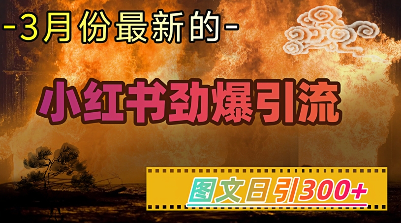 小红书超劲爆引流手段，图文日引300+轻松变现1W-网络创业副业兼职学习网