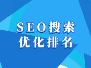 抖音搜索SEO教程，抖音SEO搜索优化排名-网络创业副业兼职学习网