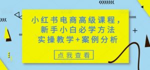 小红书电商高级课程,新手小白必学方法,实操教学+案例分析-网络创业副业兼职学习网