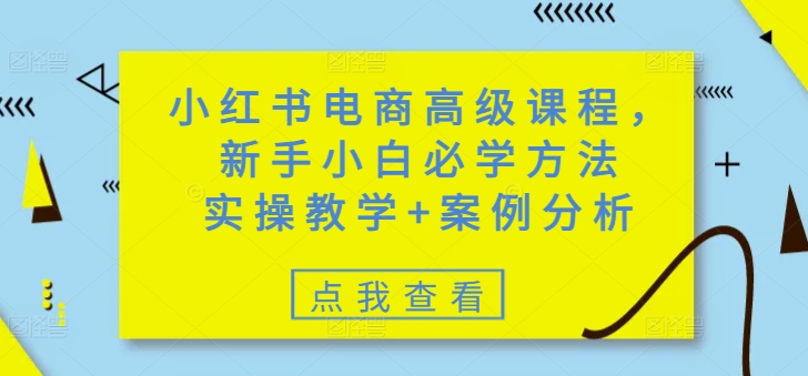 小红书电商高级课程，新手小白必学方法，实操教学+案例分析-网络创业副业兼职学习网