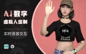 Ai数字人虚拟(智能体)实时语音交互特训营,自行定制超写实角色AI数字人交互技术-网络创业副业兼职学习网