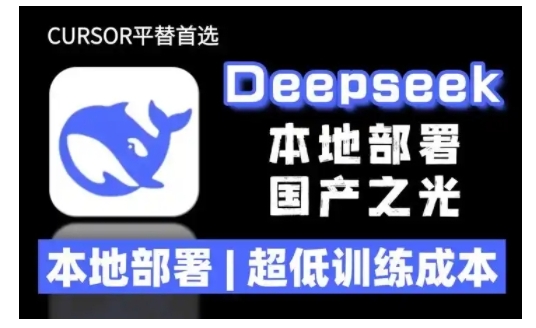 2025年deepseek R1 大型模型本地安装部署(文件+教程)本地部署，超低训练成本-网络创业副业兼职学习网