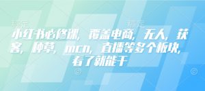 小红书必修课,覆盖电商,无人,获客,种草,mcn,直播等多个板块,看了就能干-网络创业副业兼职学习网