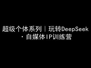 超级个体系列，玩转DeepSeek·自媒体IP训练营，deepseek教程-网络创业副业兼职学习网