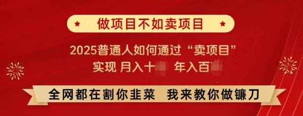 必看，做项目不如卖项目，2025普通人如何通过“卖项目”实现月入十个，年入百个-网络创业副业兼职学习网