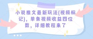 小说推文最新玩法(视频标记)，单条视频收益四位数，详细教程来了-网络创业副业兼职学习网