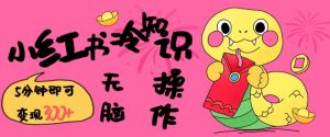 小红书冷知识账号,无脑复制粘贴,5分钟即可变现3张-网络创业副业兼职学习网