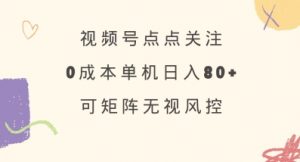 视频号点点关注，0成本单号80+，可矩阵，绿色正规，长期稳定【揭秘】-网络创业副业兼职学习网