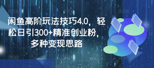 闲鱼高阶玩法技巧4.0，轻松日引300+精准创业粉，多种变现思路-网络创业副业兼职学习网