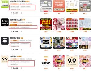 0成本虚拟项目实战手把手教你落地，单店月入5k-网络创业副业兼职学习网