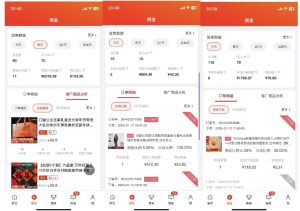 2025最新京东蓝海项目，0 门槛日入 1k+，小白宝妈轻松上手【揭秘】-网络创业副业兼职学习网